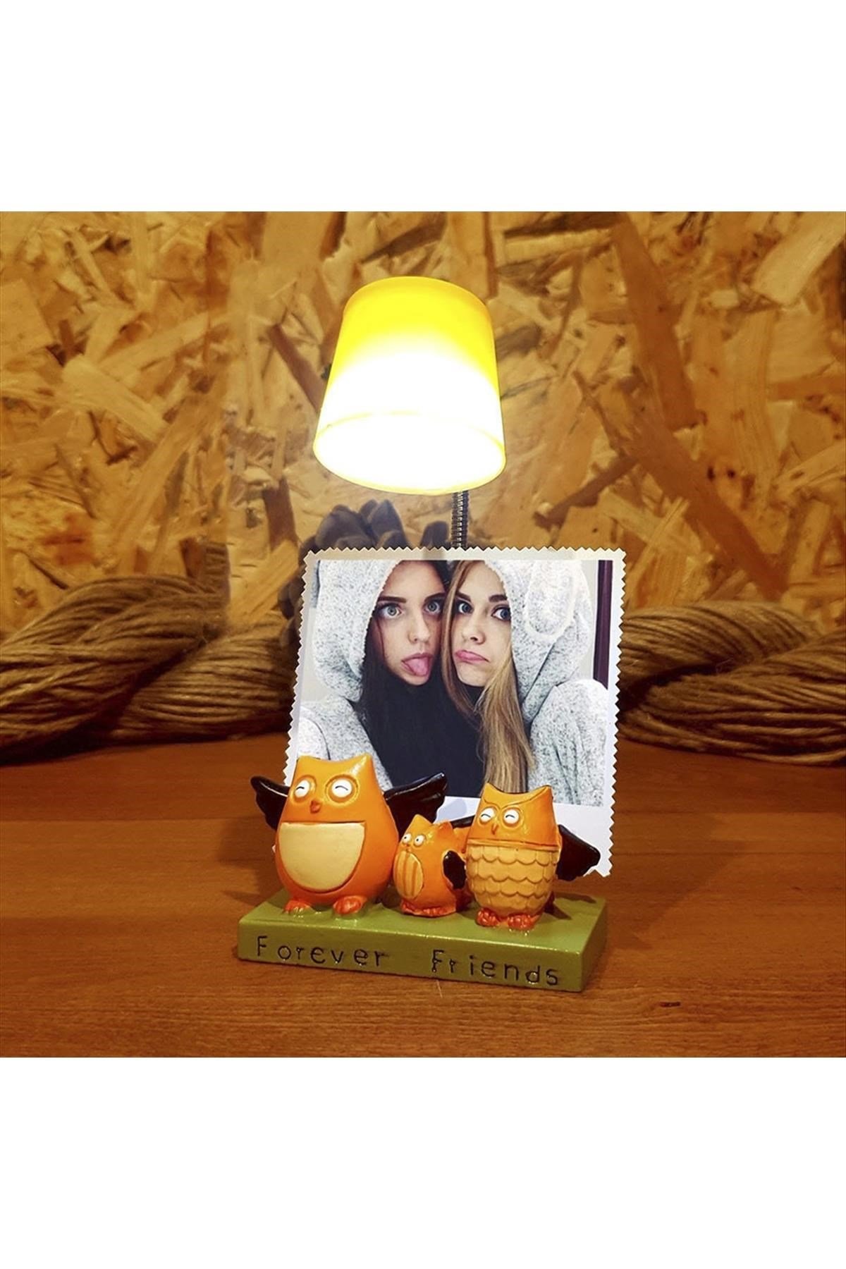 Baykuş Masa Lambası