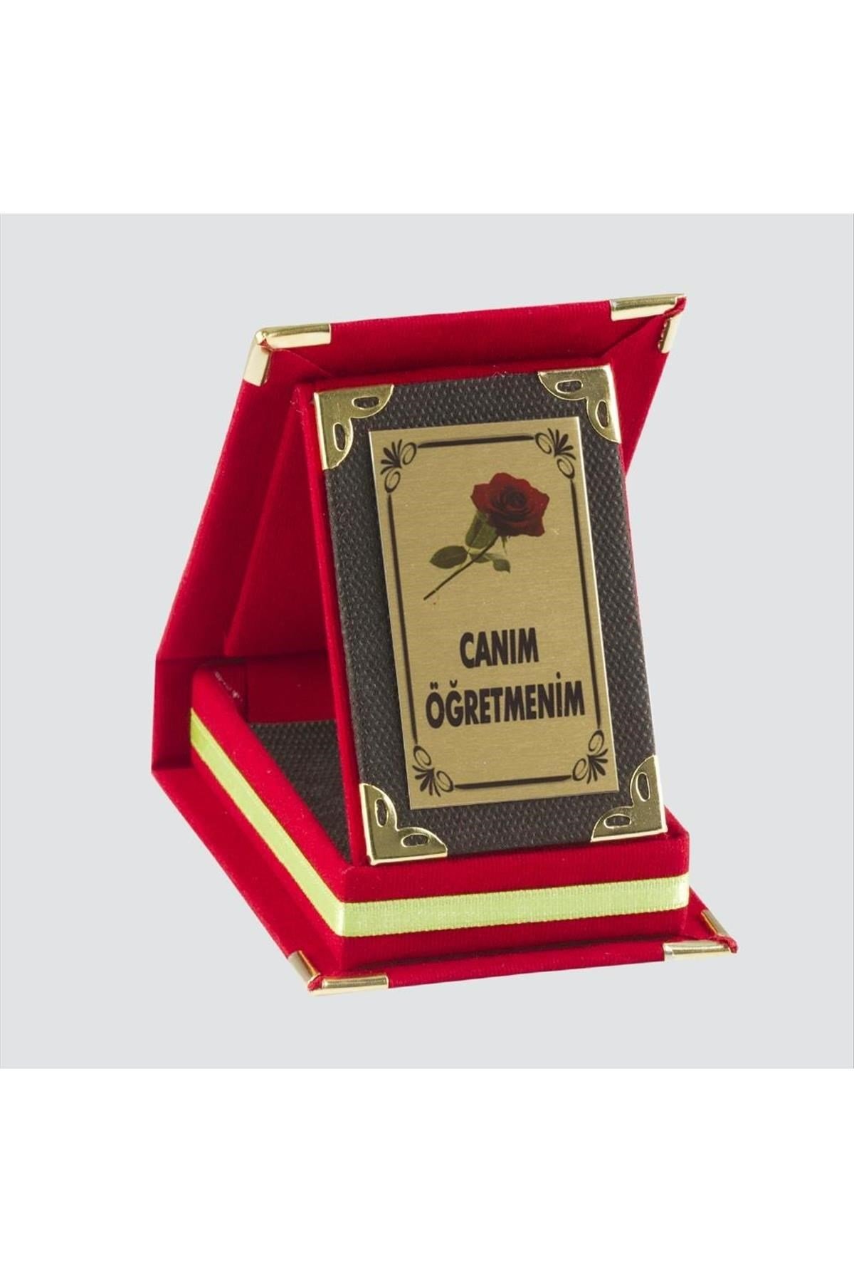 Canım Öğretmenim Plaketi