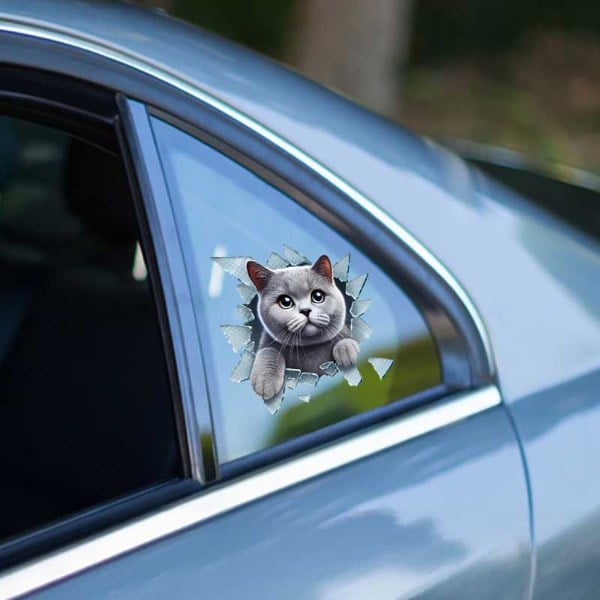 Fulcar Kedi Tasarımlı Araç Stickerı