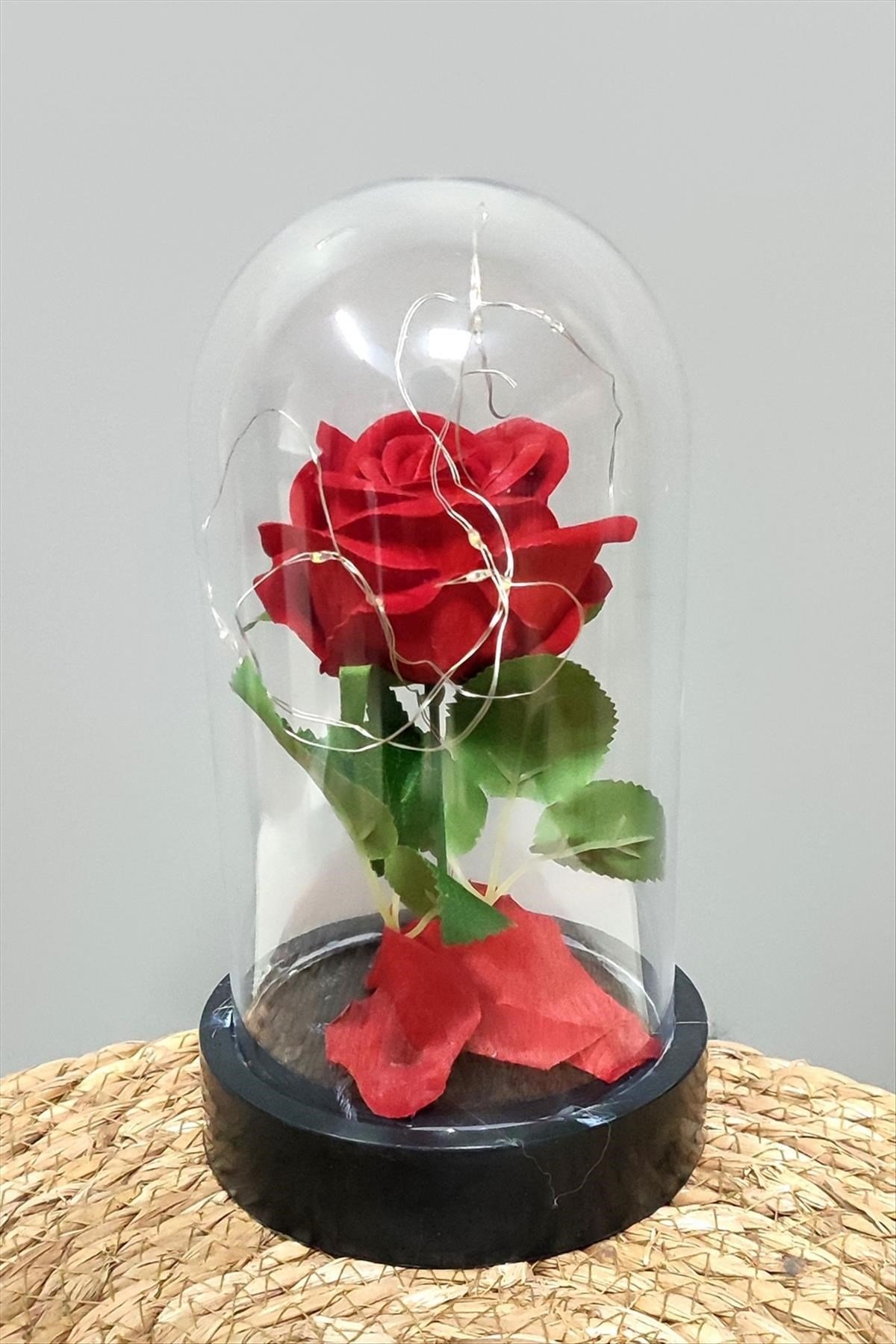 Gül Işıklı Led Fanus