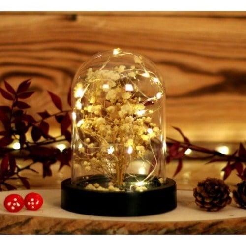 Led Işıklı Mini Ağaç Fanus Teraryum 2