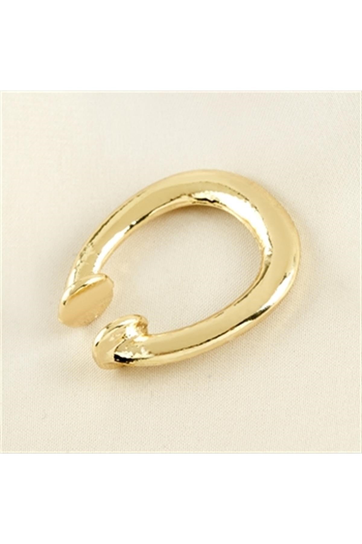 Trend Halka Kıkırdak Küpe 2,5 cm 1 Adet