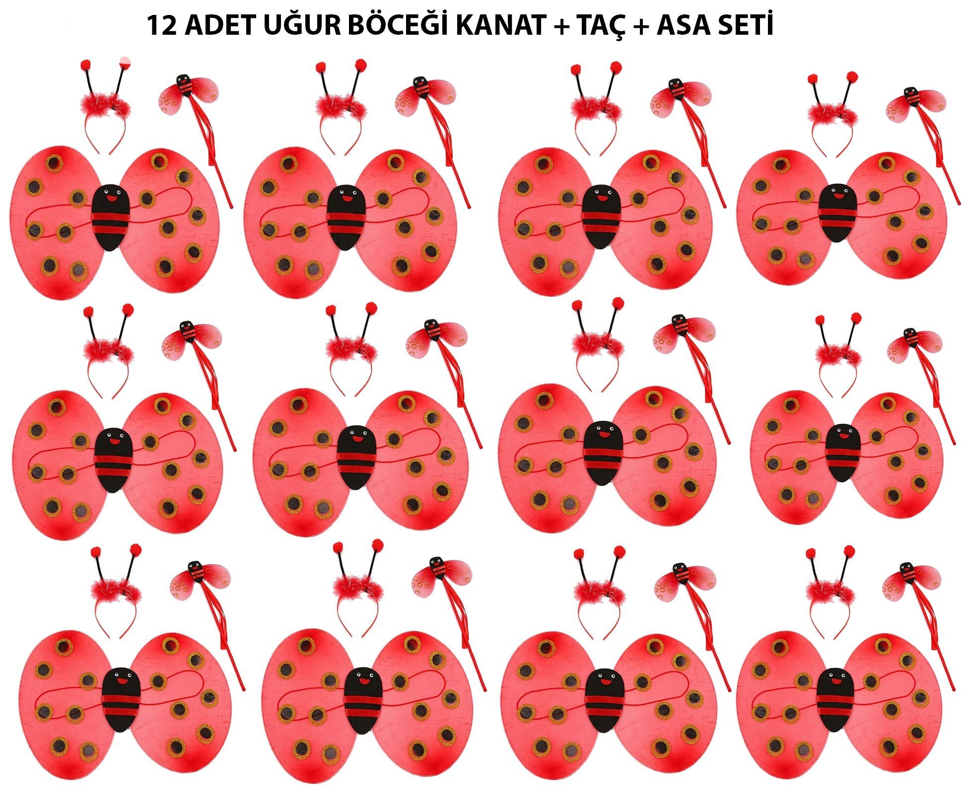 Uğur Böceği Kostüm Seti - Kanat, Taç, Asa 12 Adet