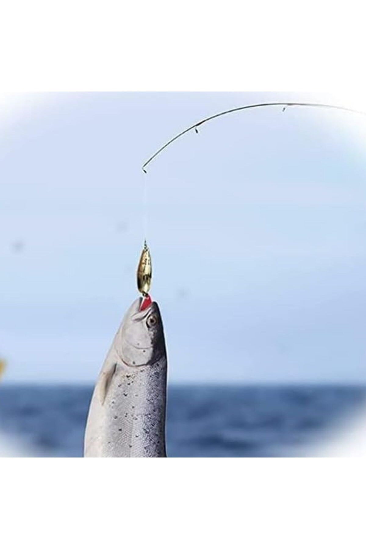 78 Parça Sahte Balık Yemleri Seti Silikon Balık ve Solucan Rapala Jig Sahte Yem Olta İğnesi