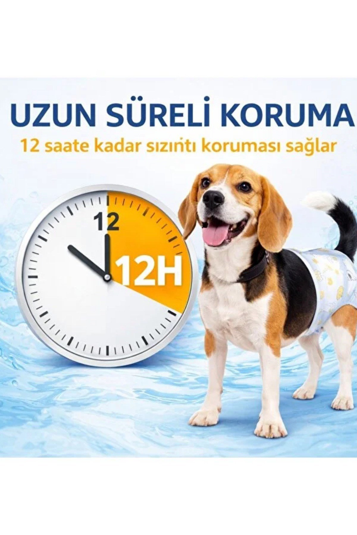 Ultra Emici Kedi Köpek Çiş Bezi Köpek Tuvalet Bezi Kedi Tuvalet Bezi Alıştırma Bezi 10'lu Sızdırmaz