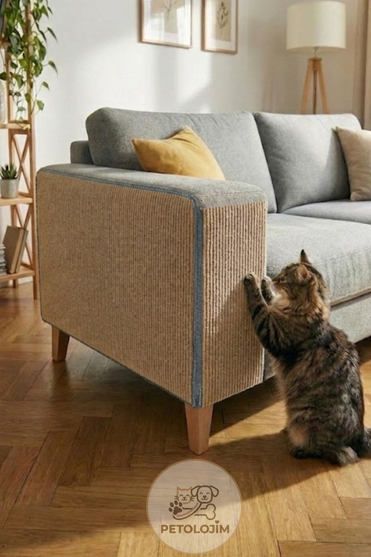 Yapışkanlı Kedi Tırmalama Halısı Koltuk ve Duvar Yapıştırma Tırmalama Halısı Renkli 100x30 cm