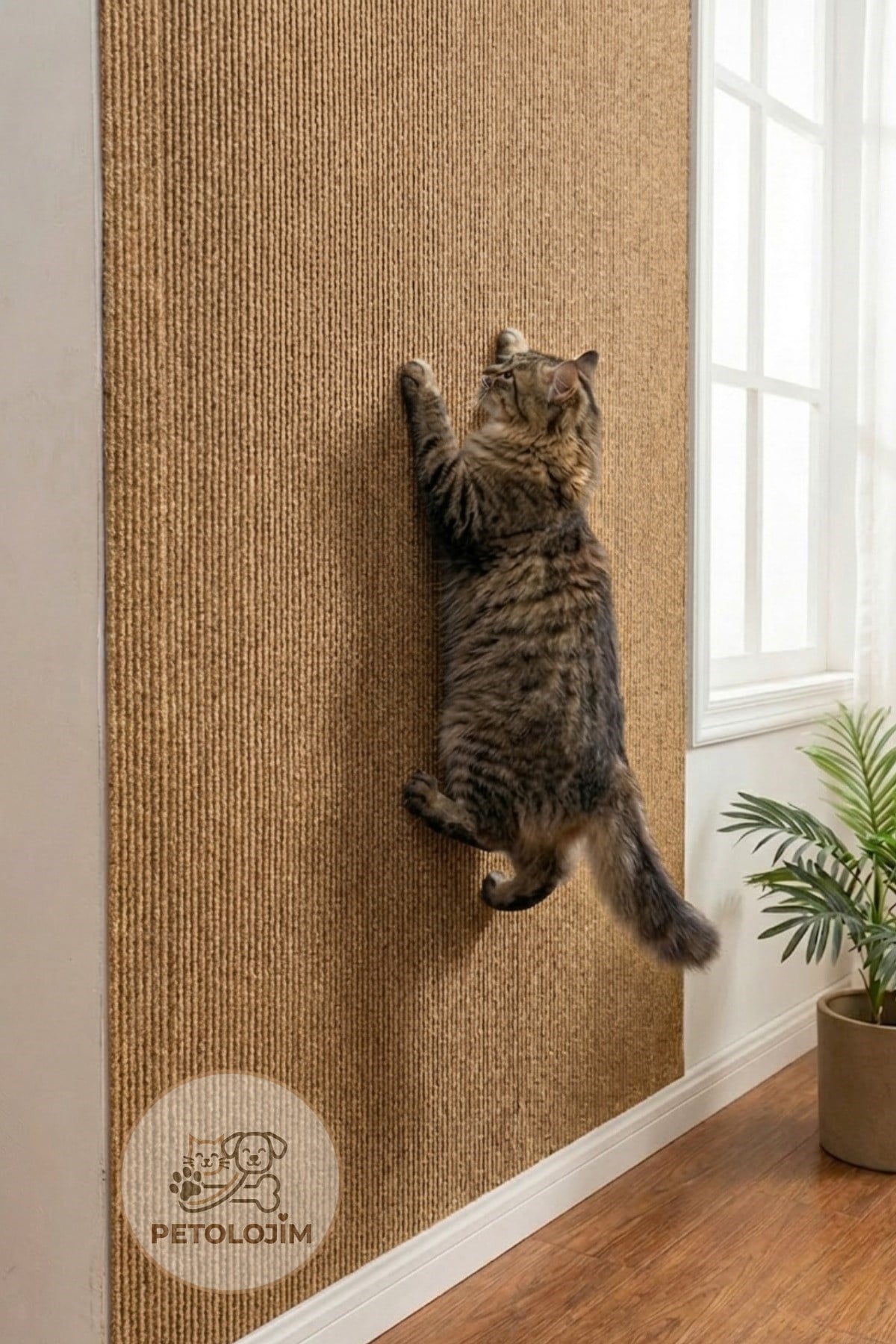 Yapışkanlı Kedi Tırmalama Halısı Koltuk ve Duvar Yapıştırma Tırmalama Halısı Renkli 100x30 cm