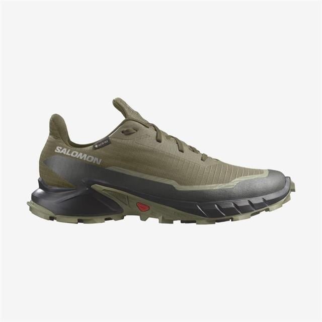 Salomon Alphacross 5 Gtx