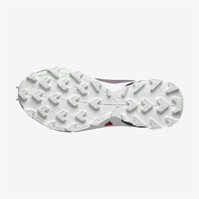 Salomon Alphacross 5 Gtx W