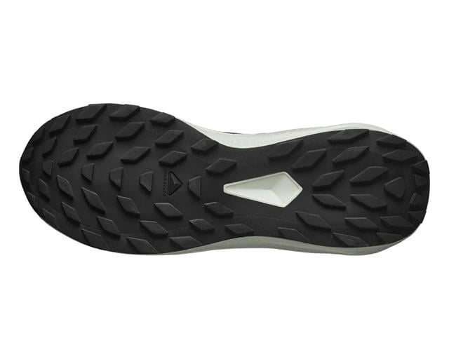 Salomon Alphaglide Erkek Ayakkabı