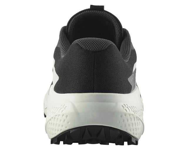 Salomon Alphaglide Erkek Ayakkabı