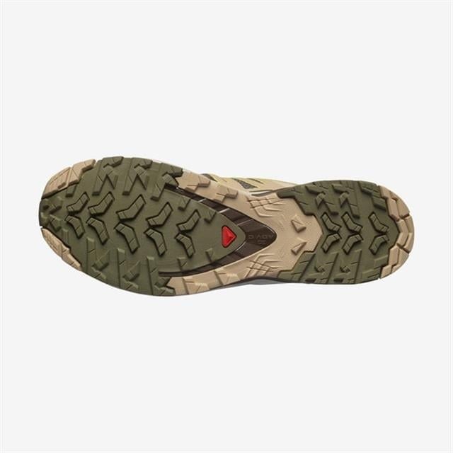 Salomon XA Pro 3D V9 Ayakkabı