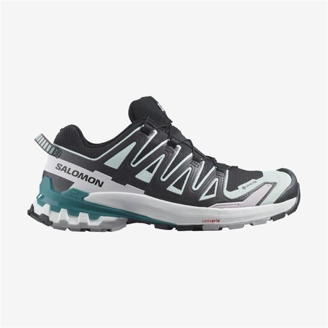 Salomon Xa Pro 3D V9 Gtx W