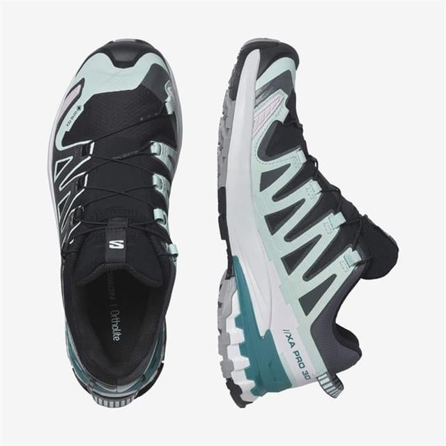 Salomon Xa Pro 3D V9 Gtx W