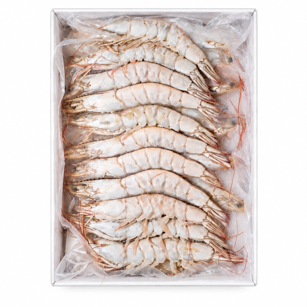     Kabuklu Karides 16/20 %30 Glaze – 10 Kg Koli