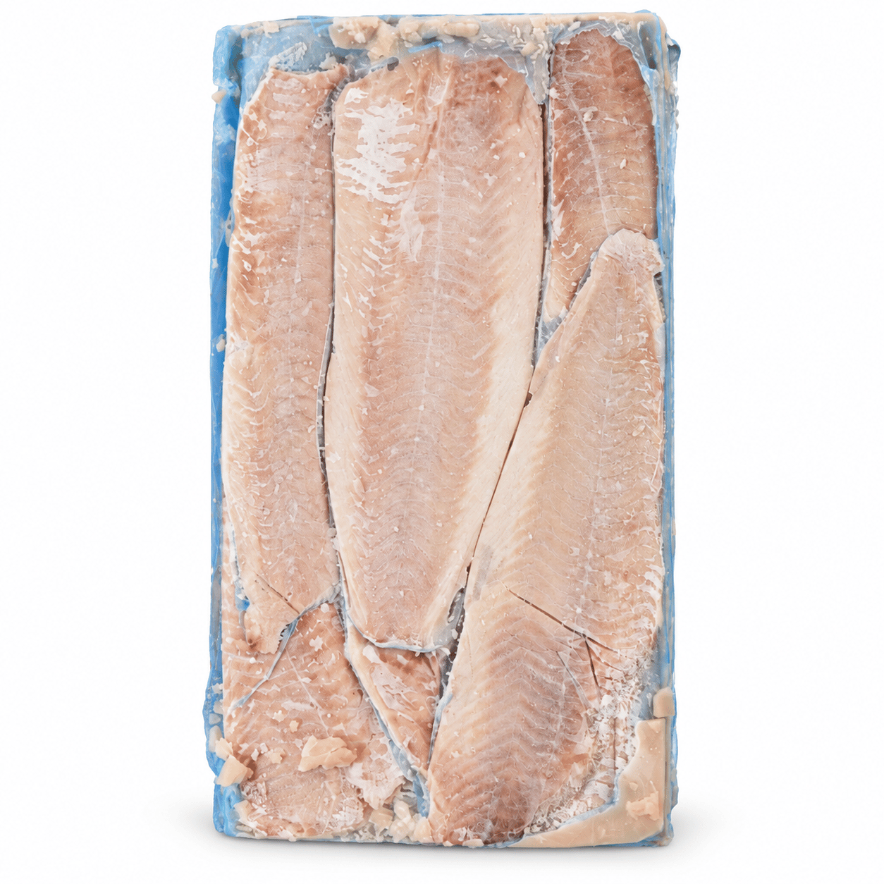 Mezgit Fileto – 20,43 kg Koli
