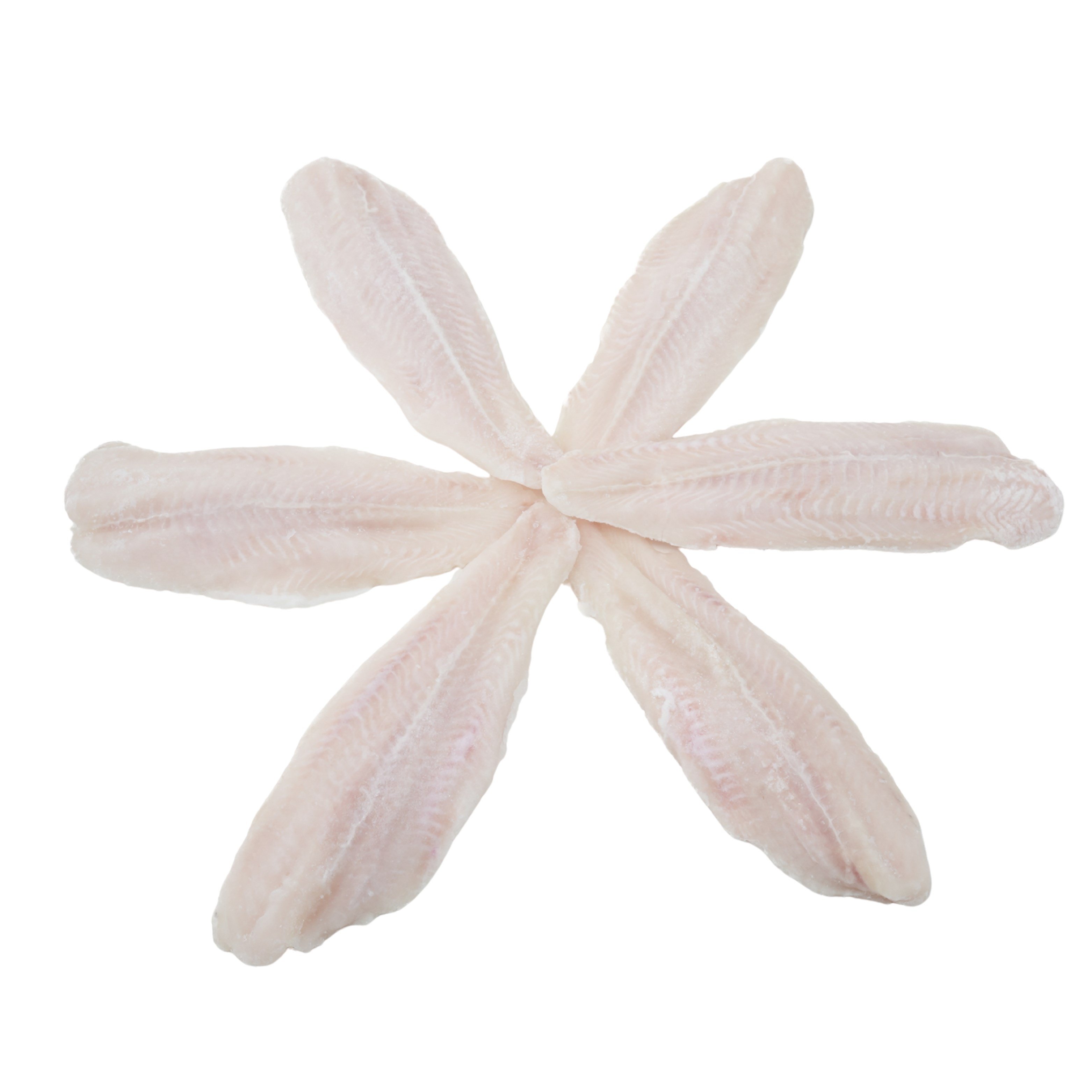 Panga Fileto 10kg %10 glaze