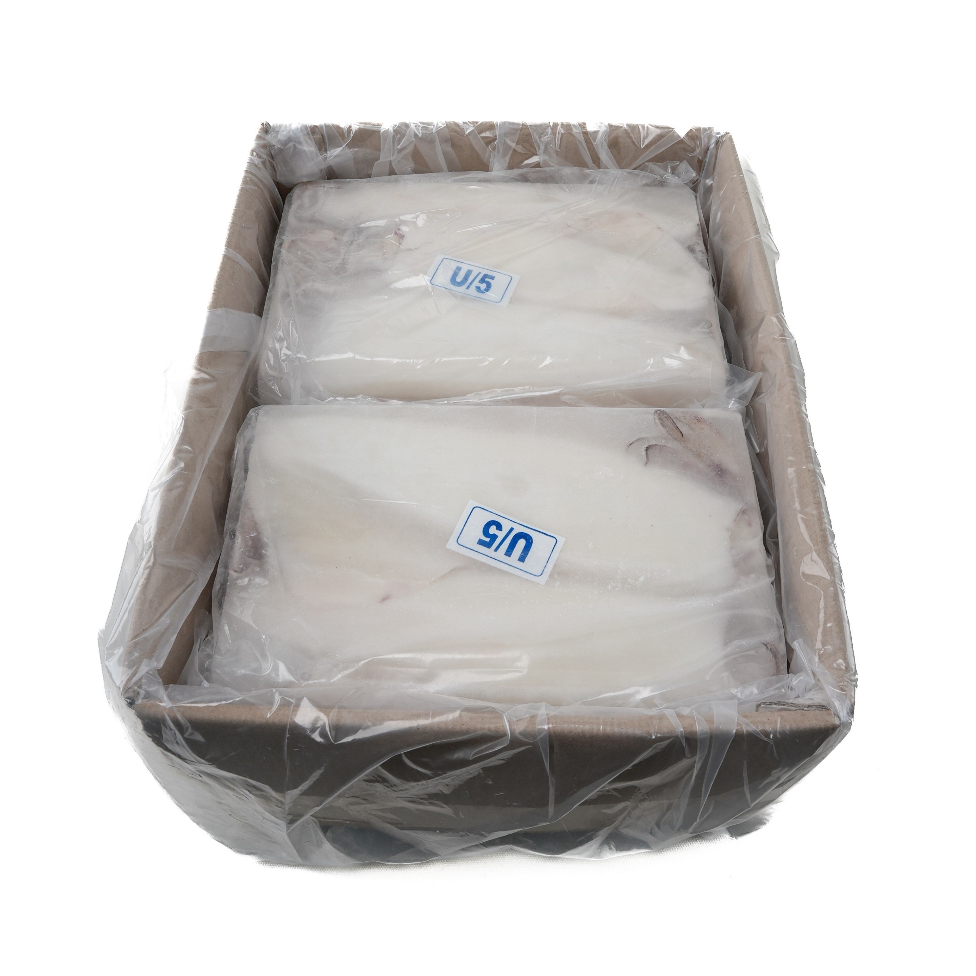 U5 Bütün Temiz Kalamar 12kg