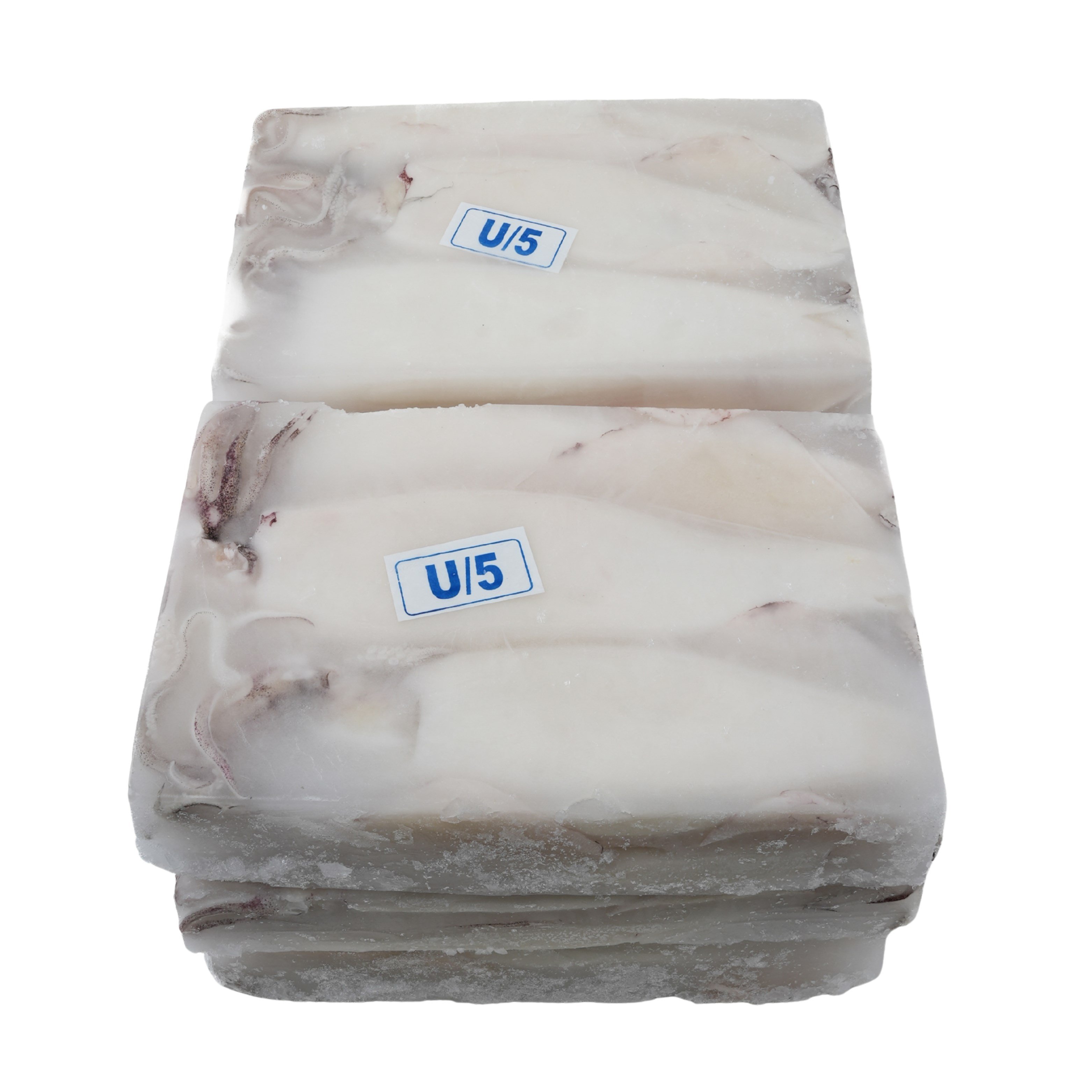 U5 Bütün Temiz Kalamar 12kg