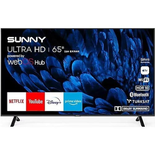 SUNNY SN65QMN252 65