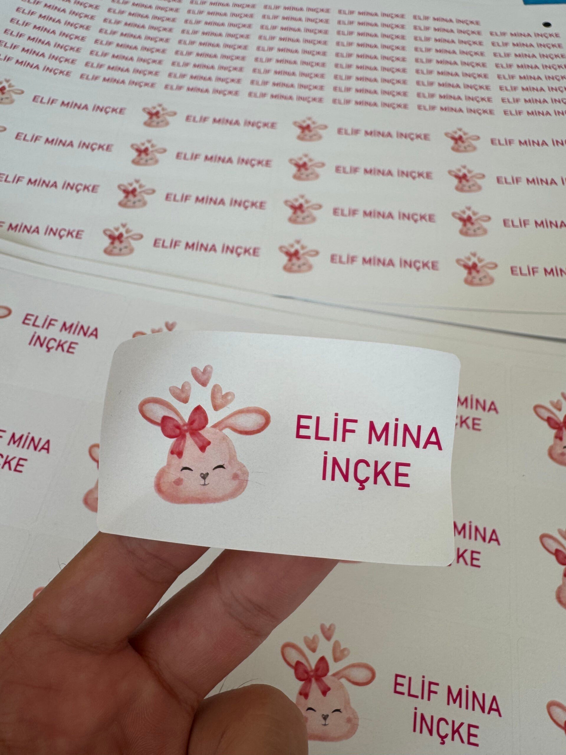 Okul Etiketi