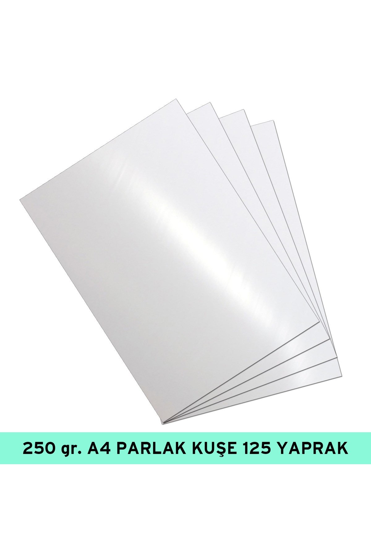 250 gr., A4 PARLAK KUŞE 125 Tbk./PK de