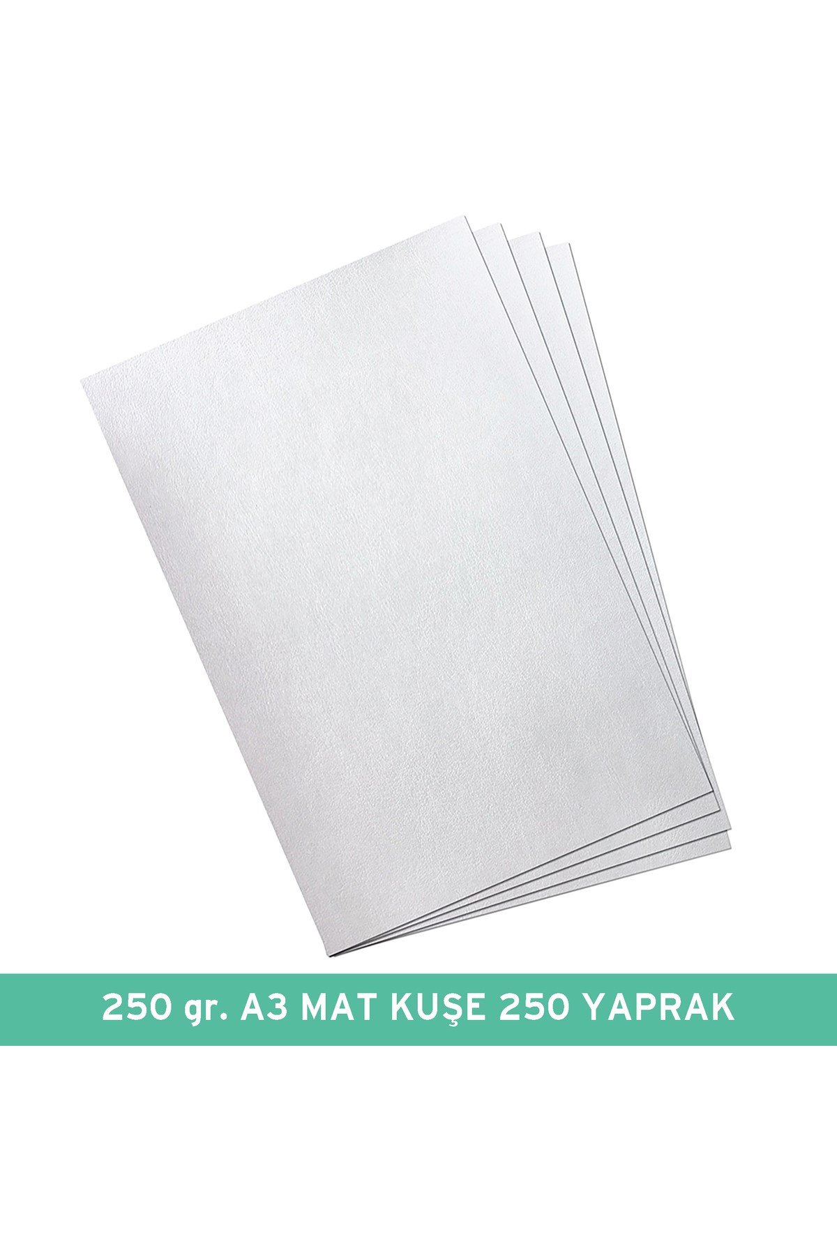 250 gr.,A3 MAT KUŞE 125 Tbk./PK de