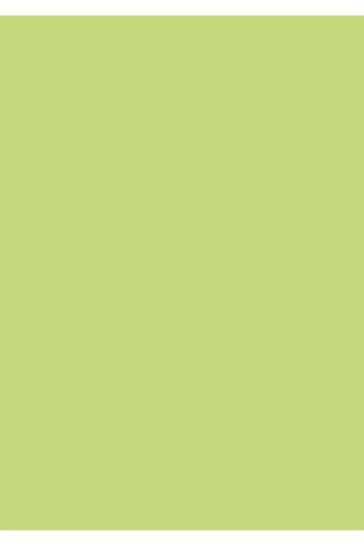 250 Lİ A4 RENKLİ FOTOKOPİ KAĞIDI GREEN 190