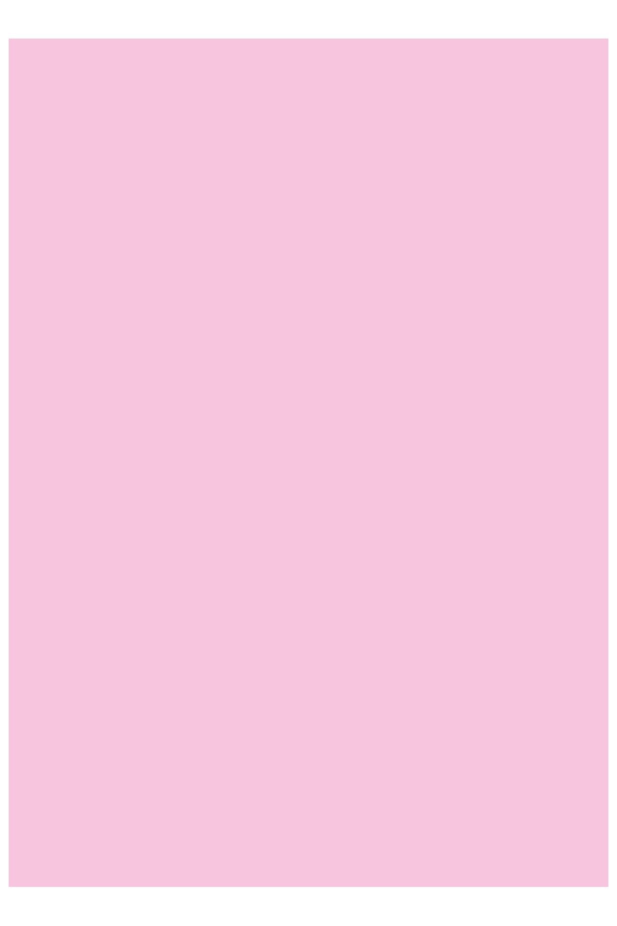 250 Lİ A4 RENKLİ FOTOKOPİ KAĞIDI PINK 170