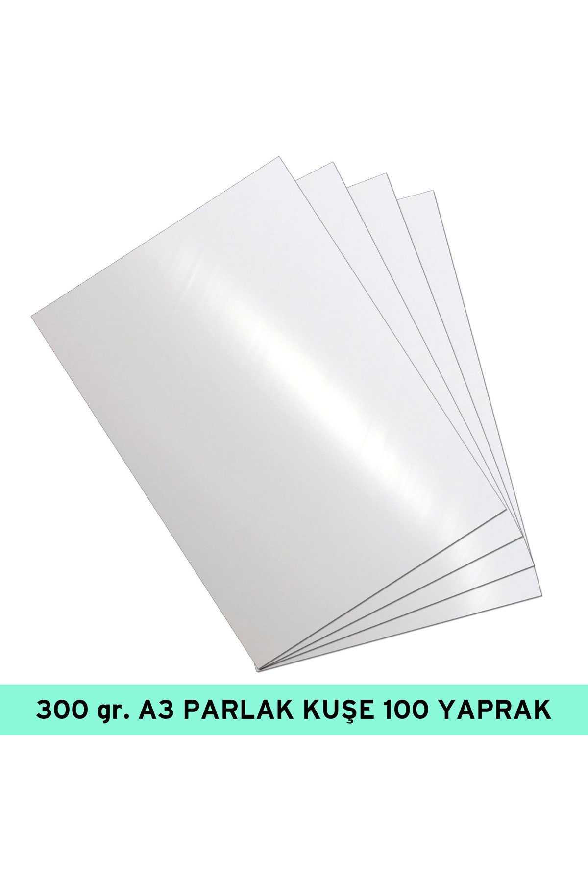 300 gr., A3 PARLAK KUŞE100 Tbk./PK de