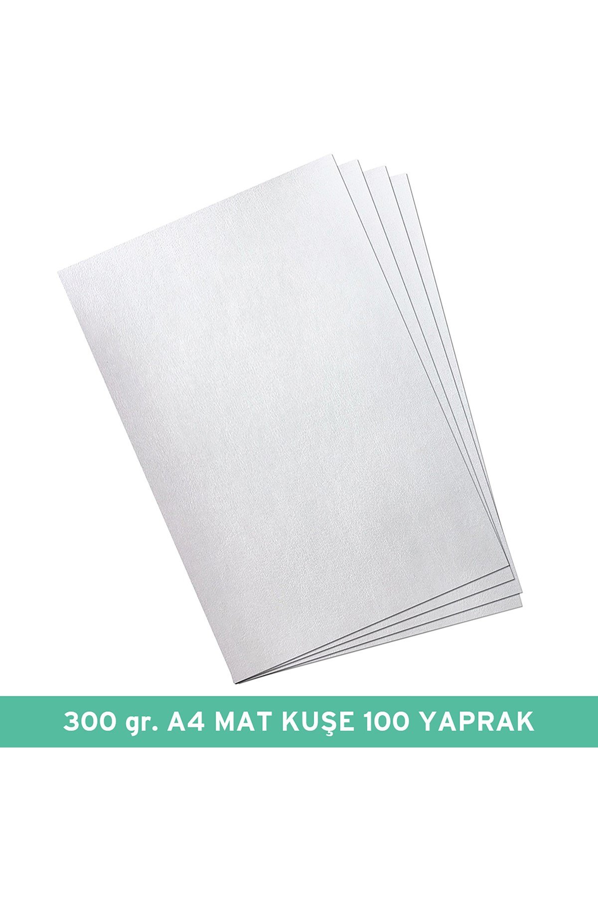 300 gr., A4 MAT KUŞE 100 Tbk./PK de