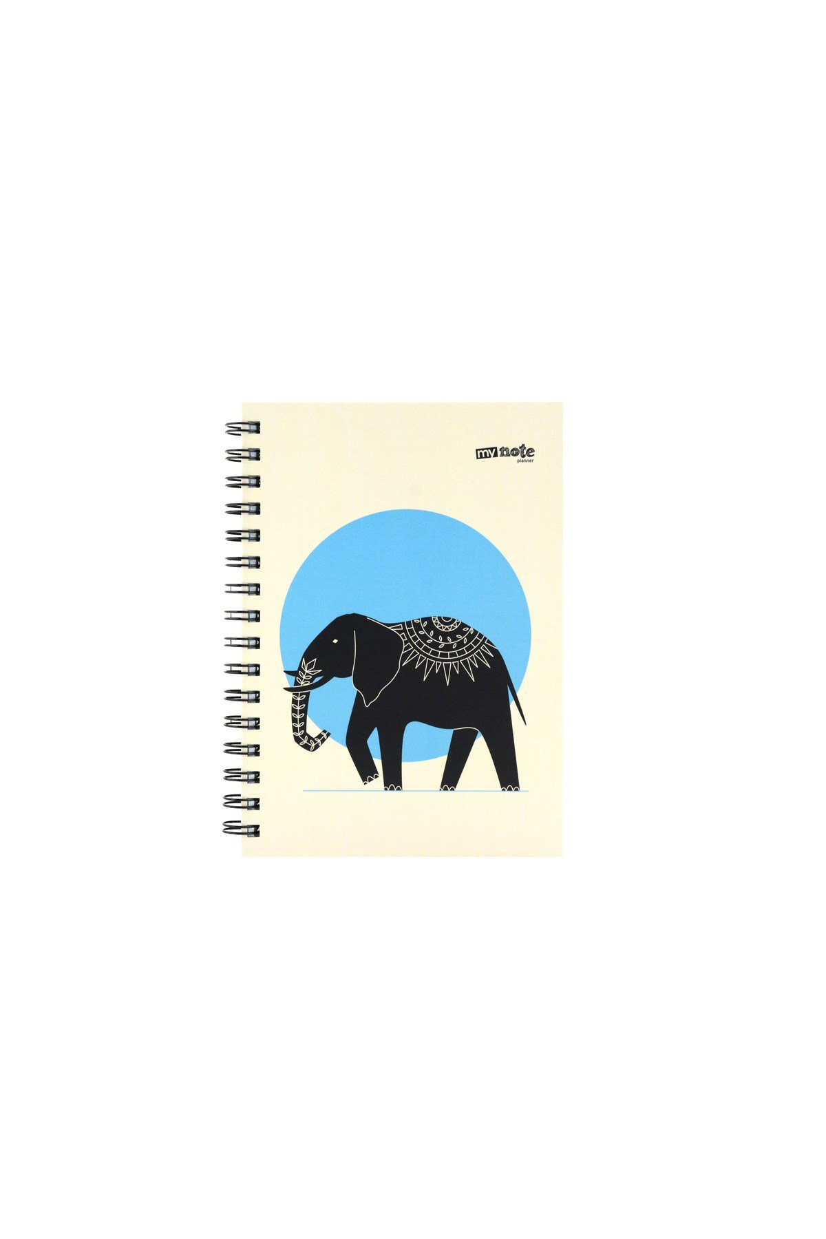 GEOMETRİK PLANNER A5 100 SF