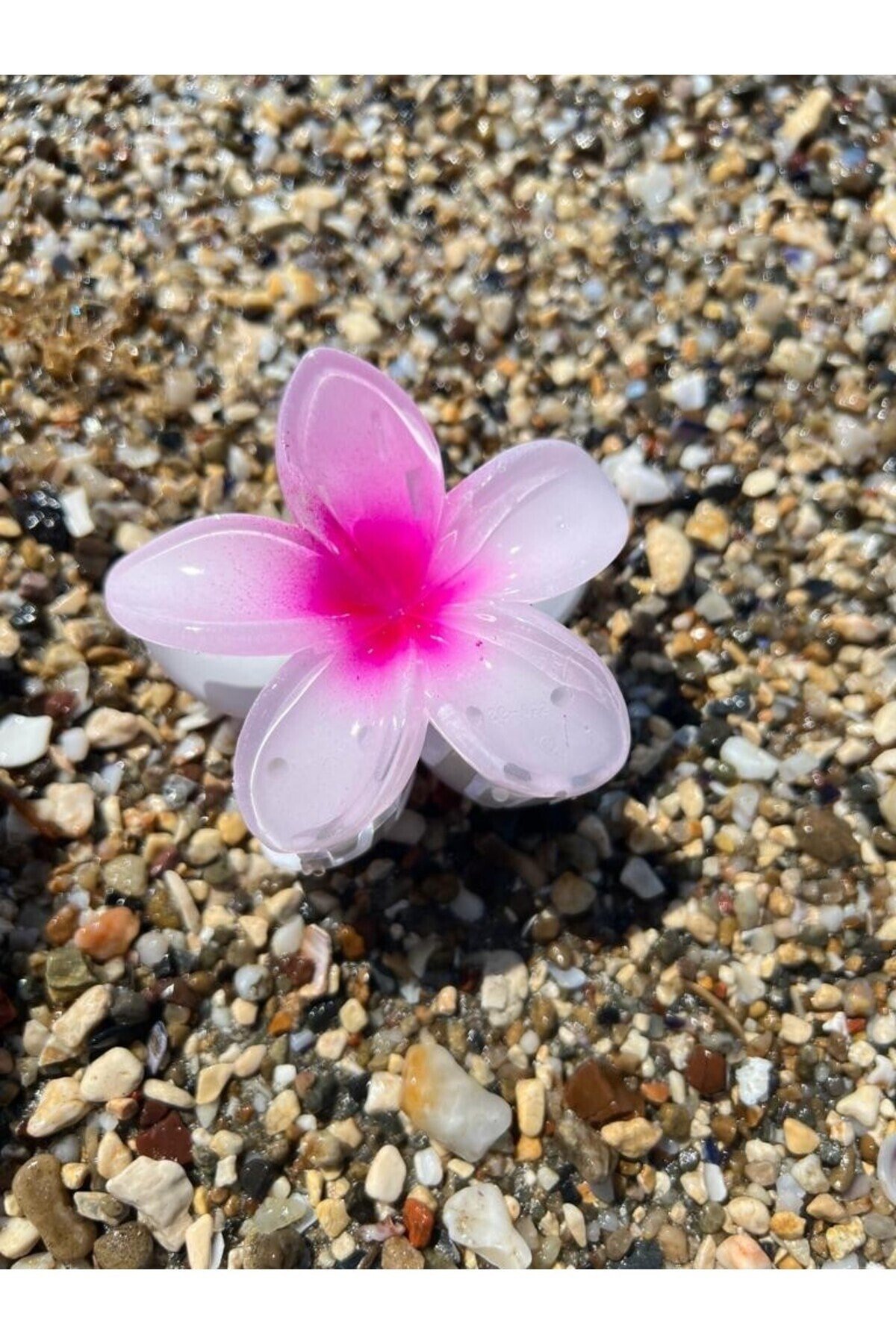 Beyaz Fuşya hibiscus Lotus Toka