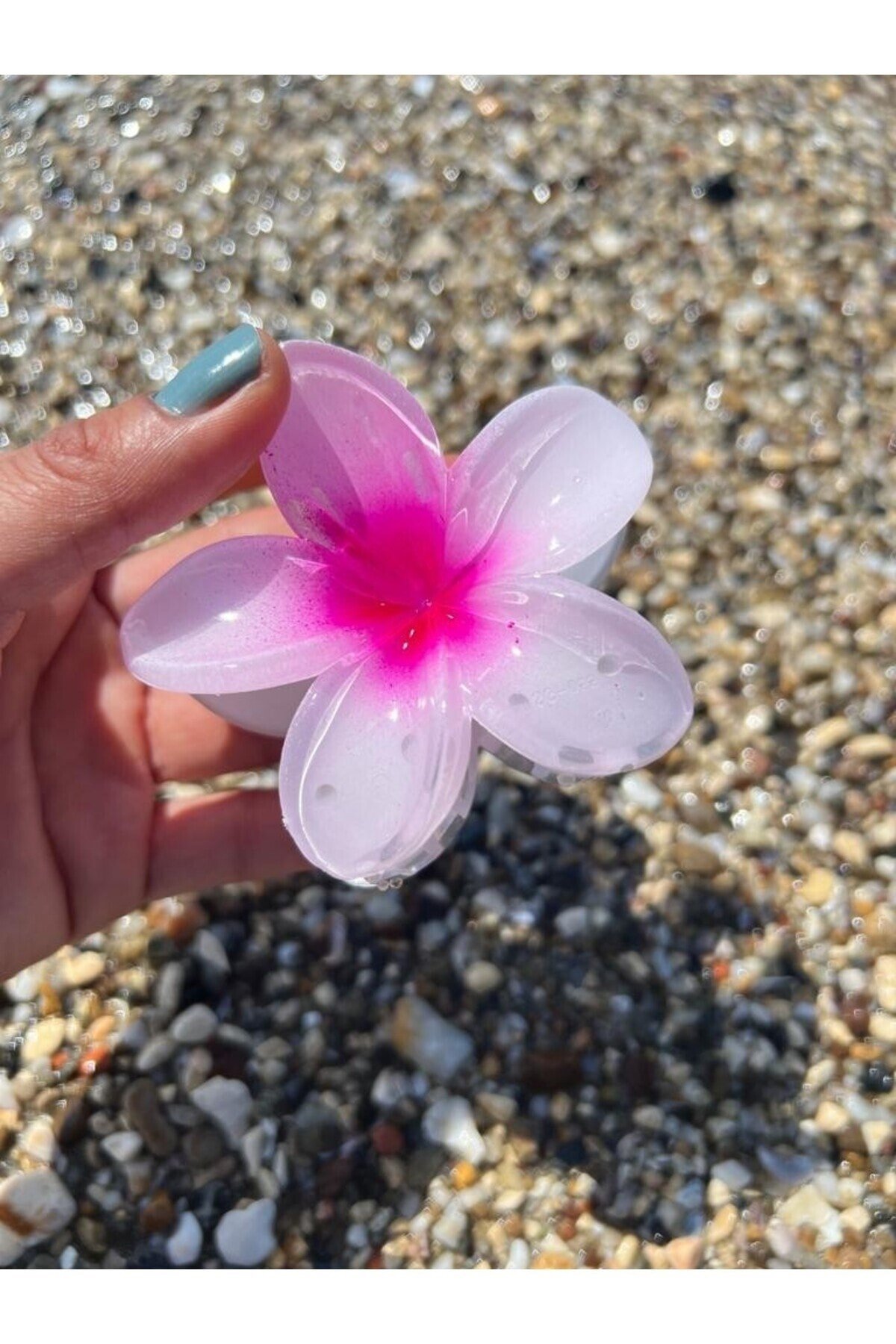 Beyaz Fuşya hibiscus Lotus Toka