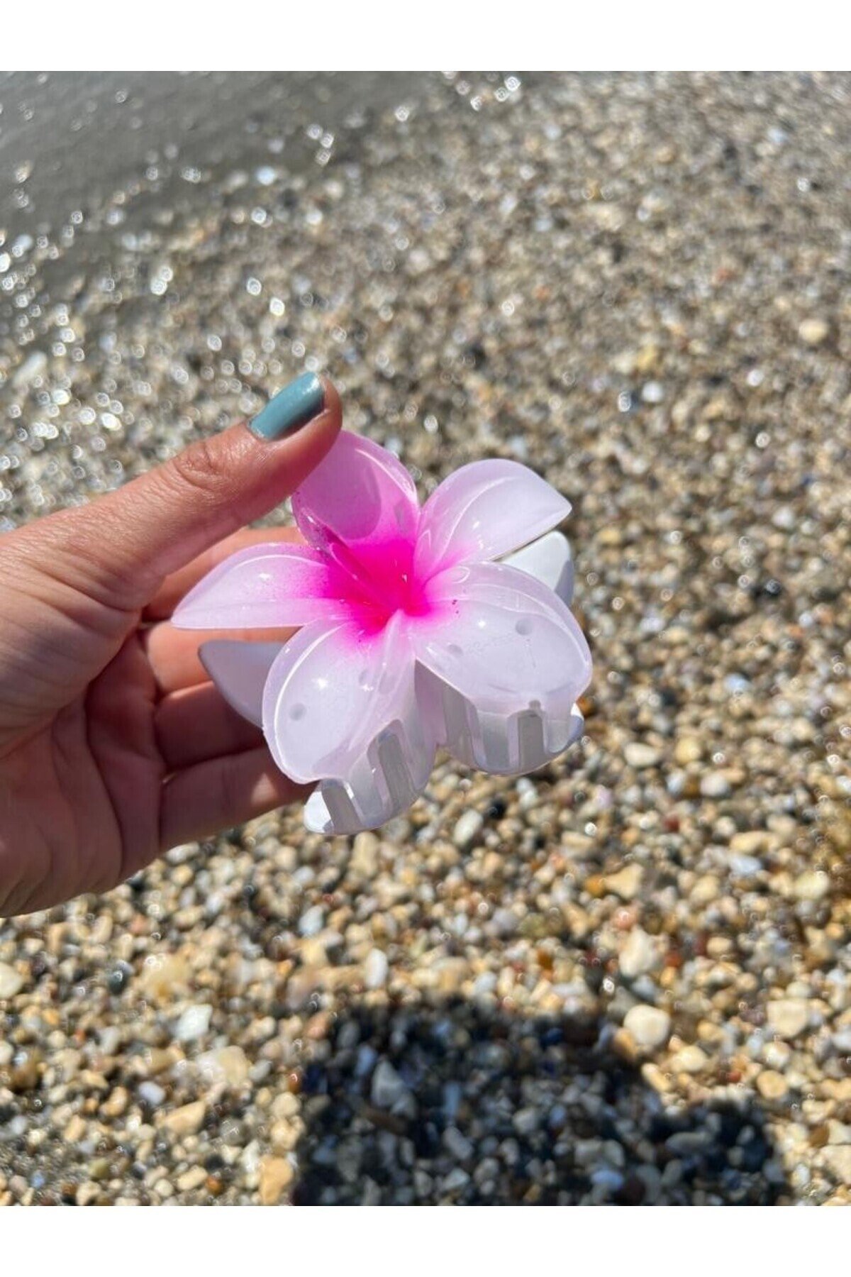 Beyaz Fuşya hibiscus Lotus Toka
