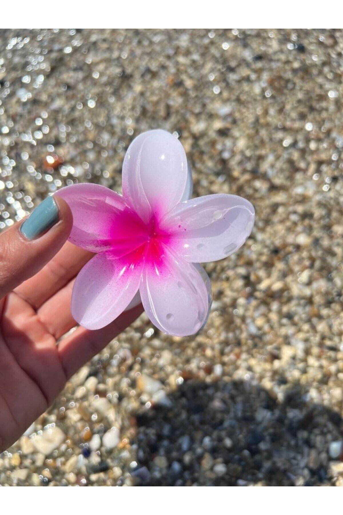 Beyaz Fuşya hibiscus Lotus Toka