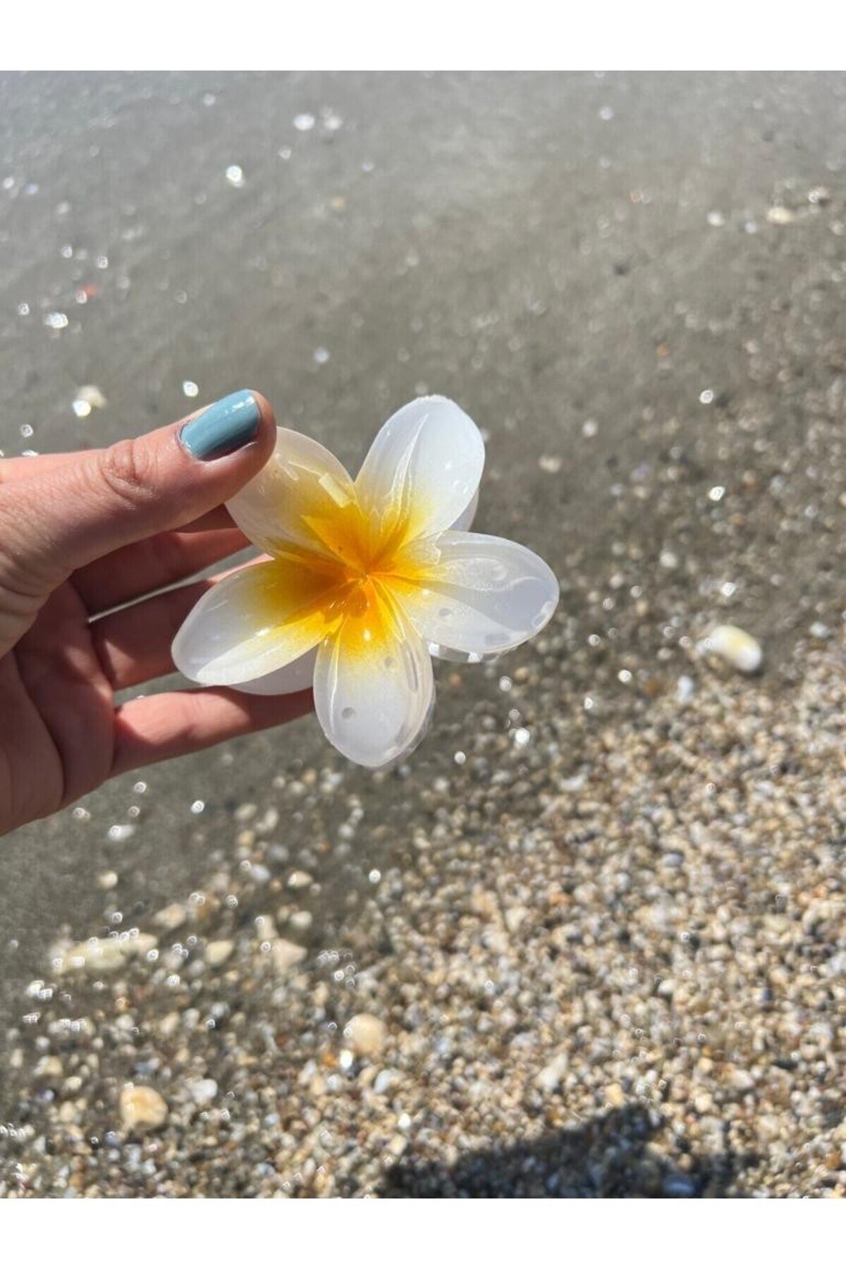 Beyaz Sarı Hibiscus Lotus Toka