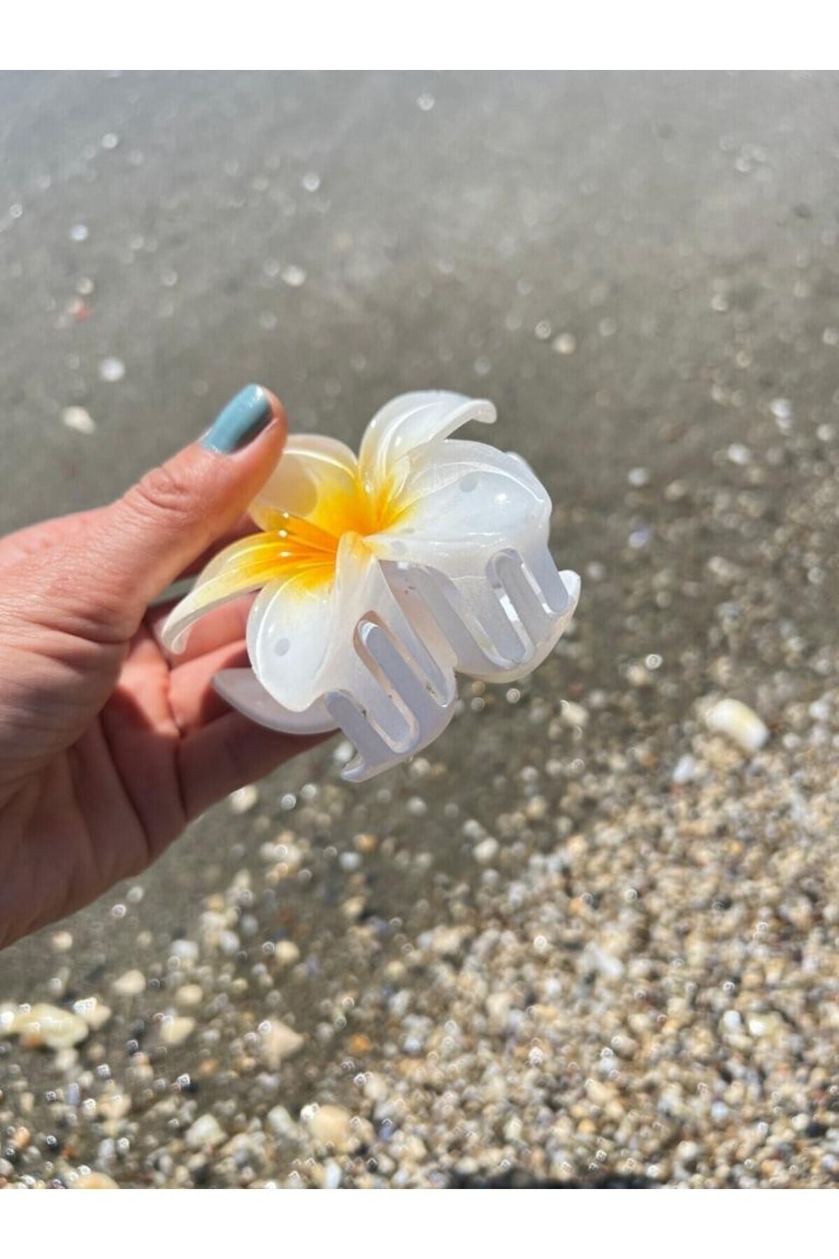 Beyaz Sarı Hibiscus Lotus Toka