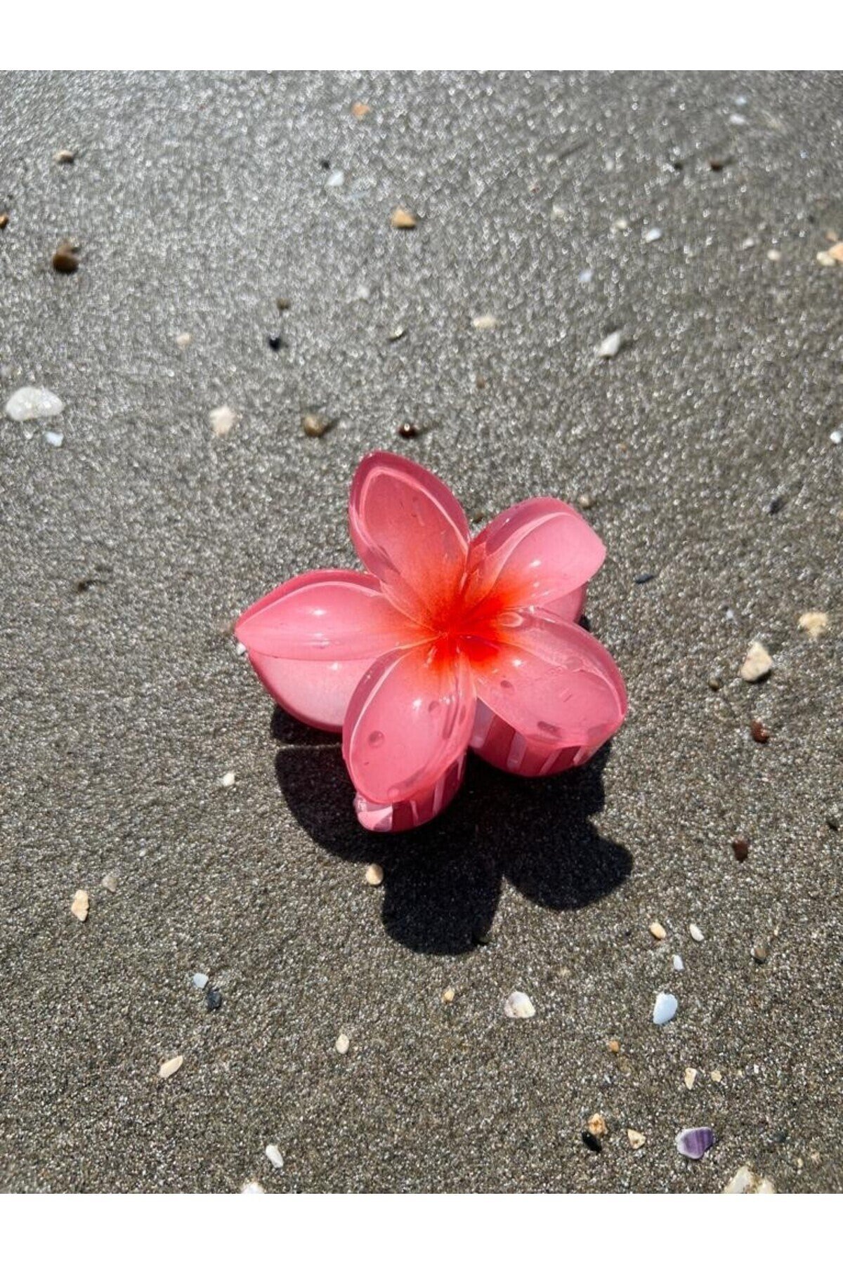 Lila Hibiscus Lotus Toka
