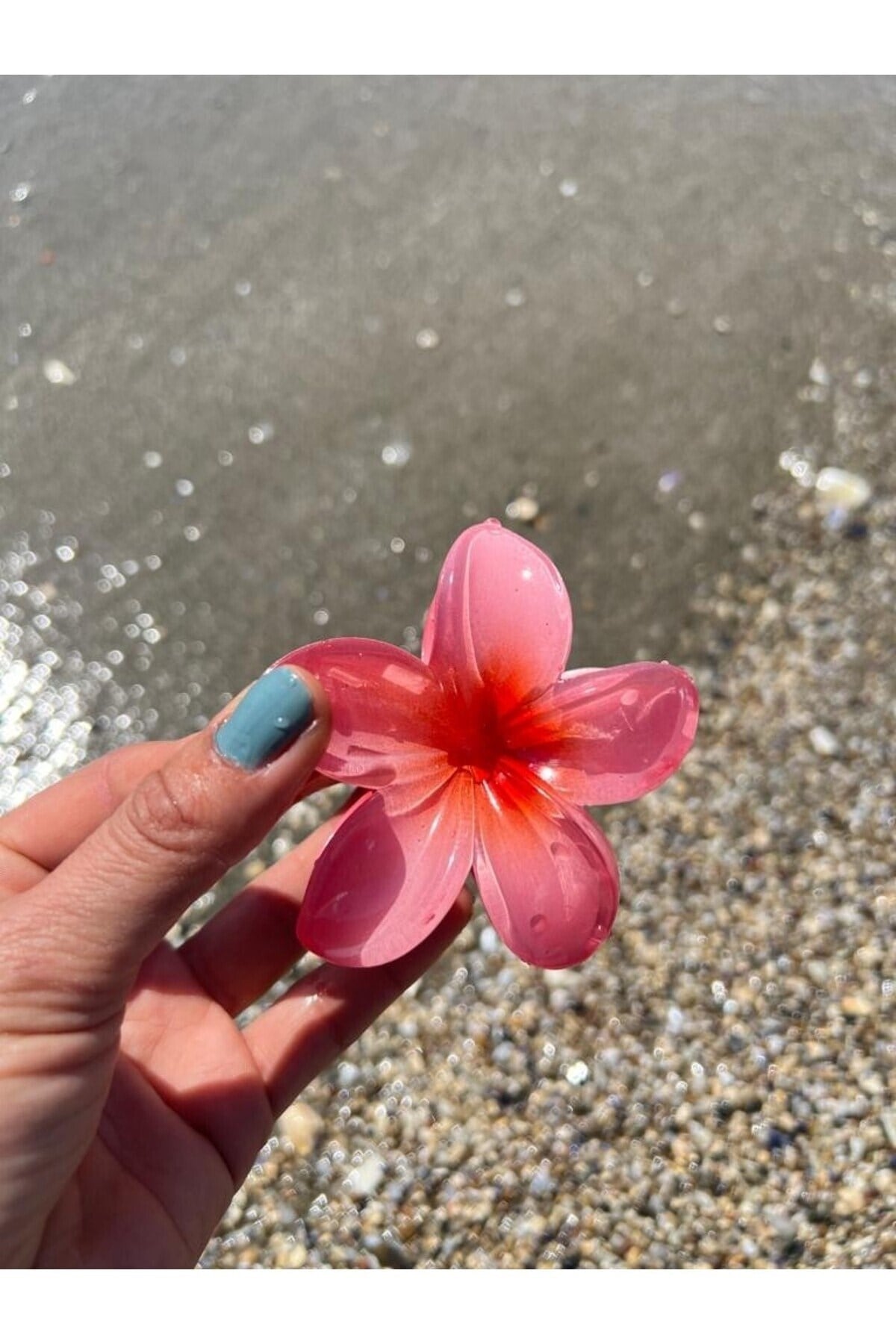 Lila Hibiscus Lotus Toka