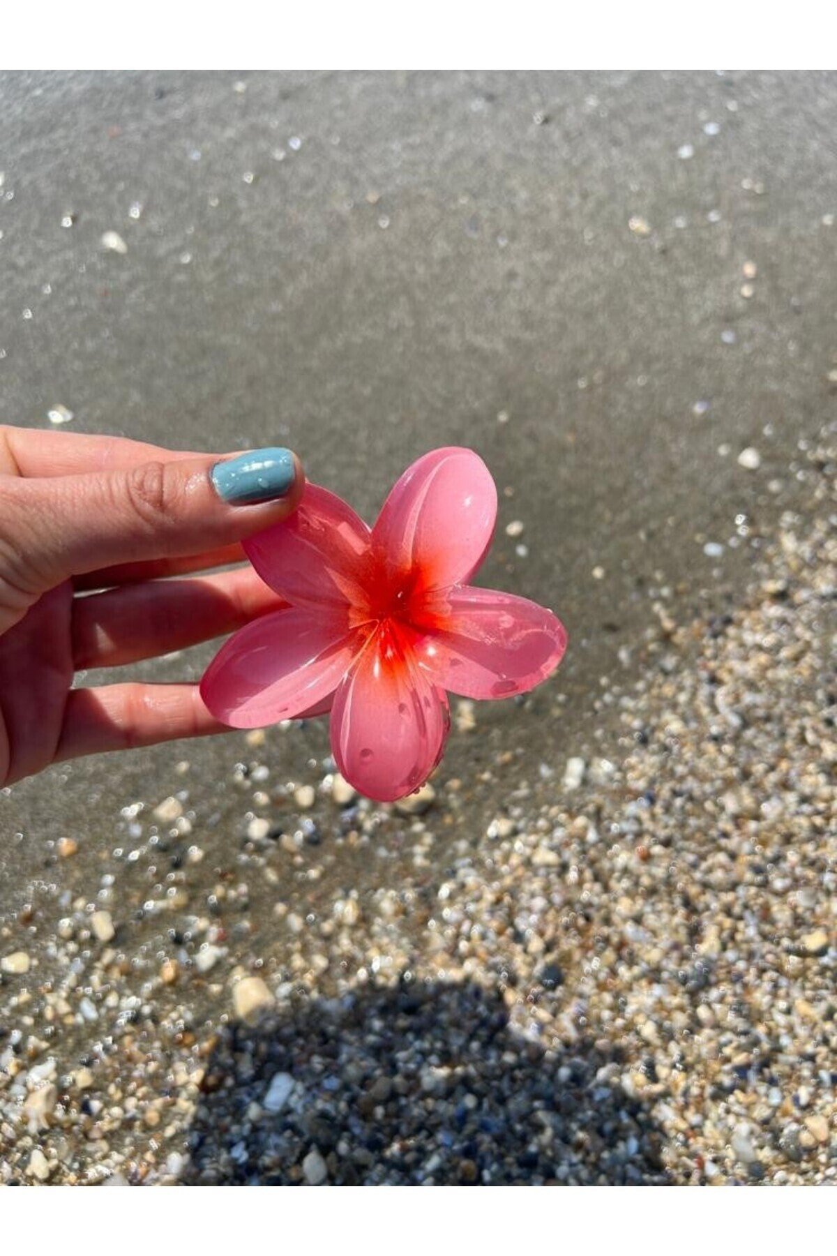 Lila Hibiscus Lotus Toka