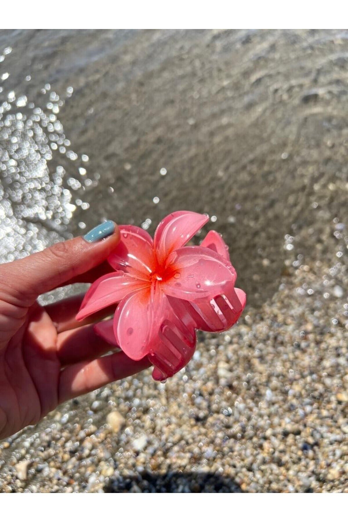Lila Hibiscus Lotus Toka