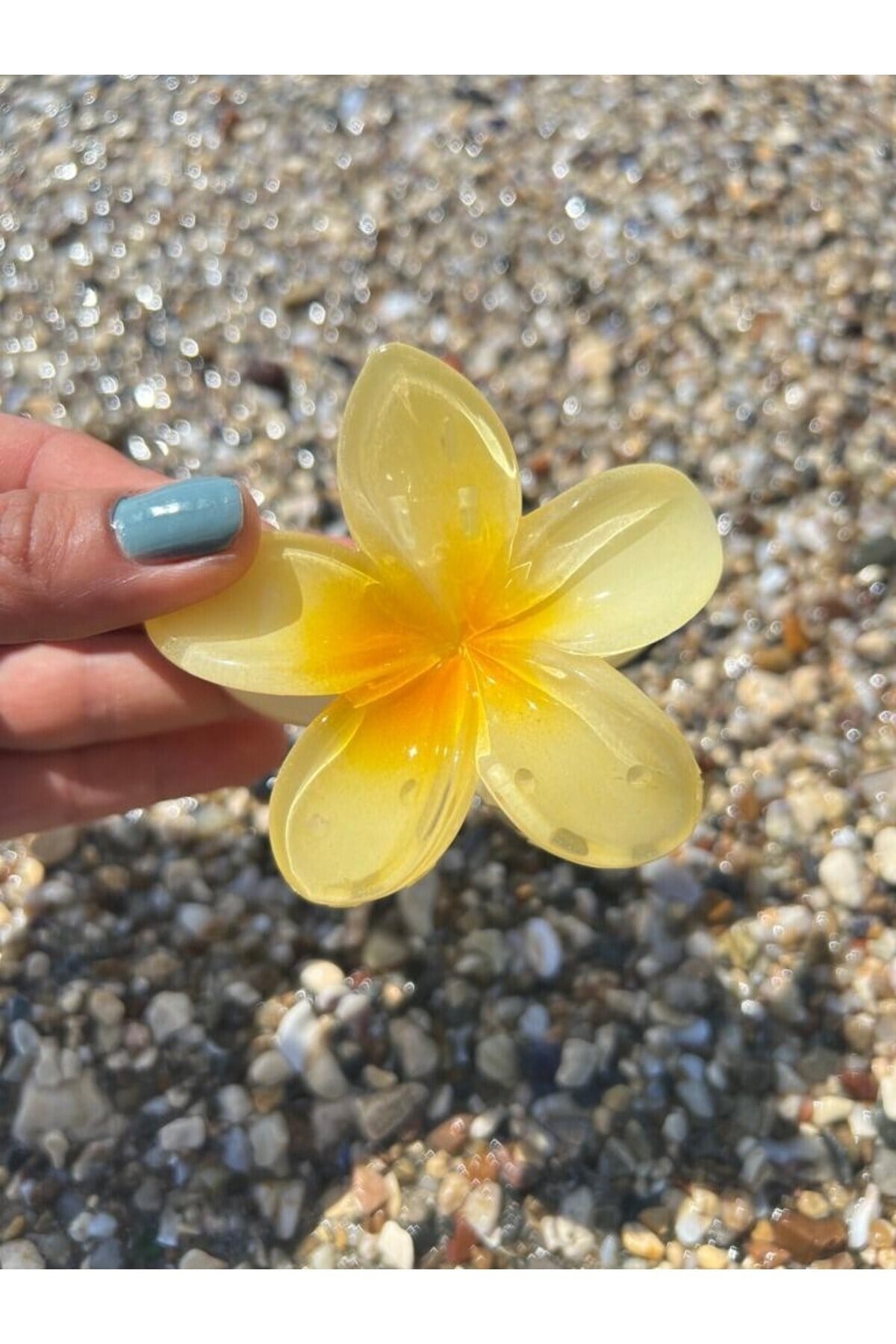 Sarı hibiscus Lotus Toka