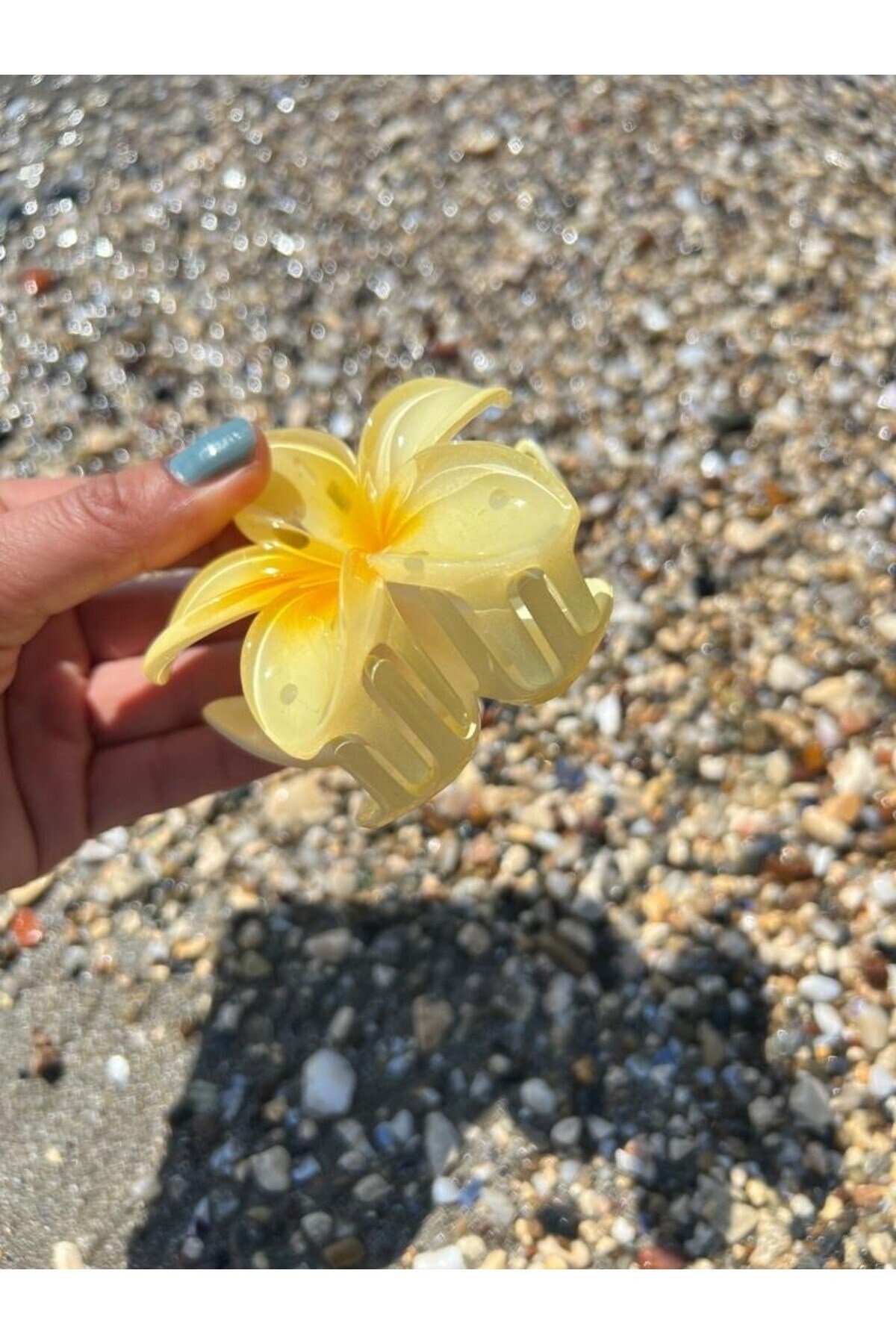 Sarı hibiscus Lotus Toka