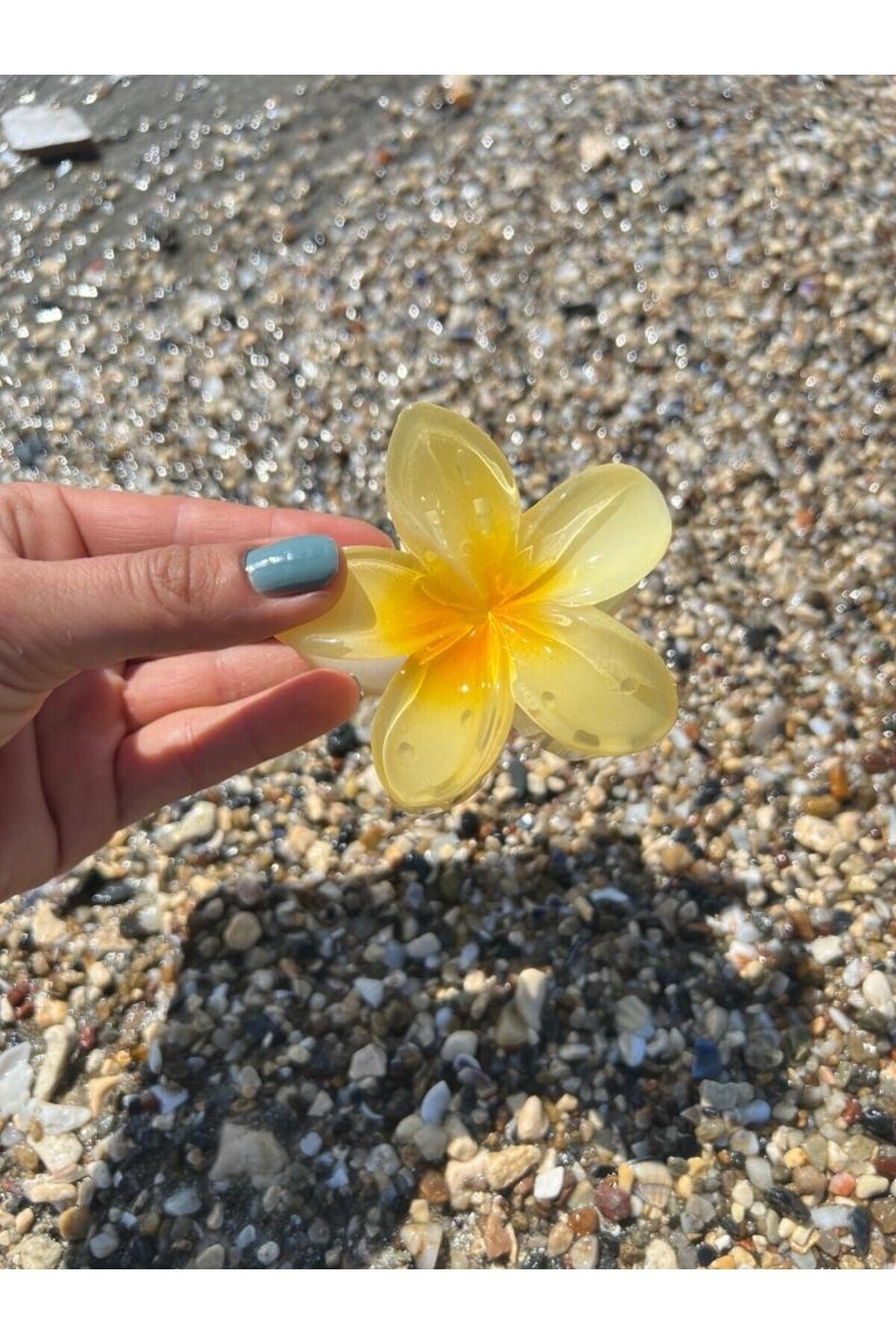 Sarı hibiscus Lotus Toka