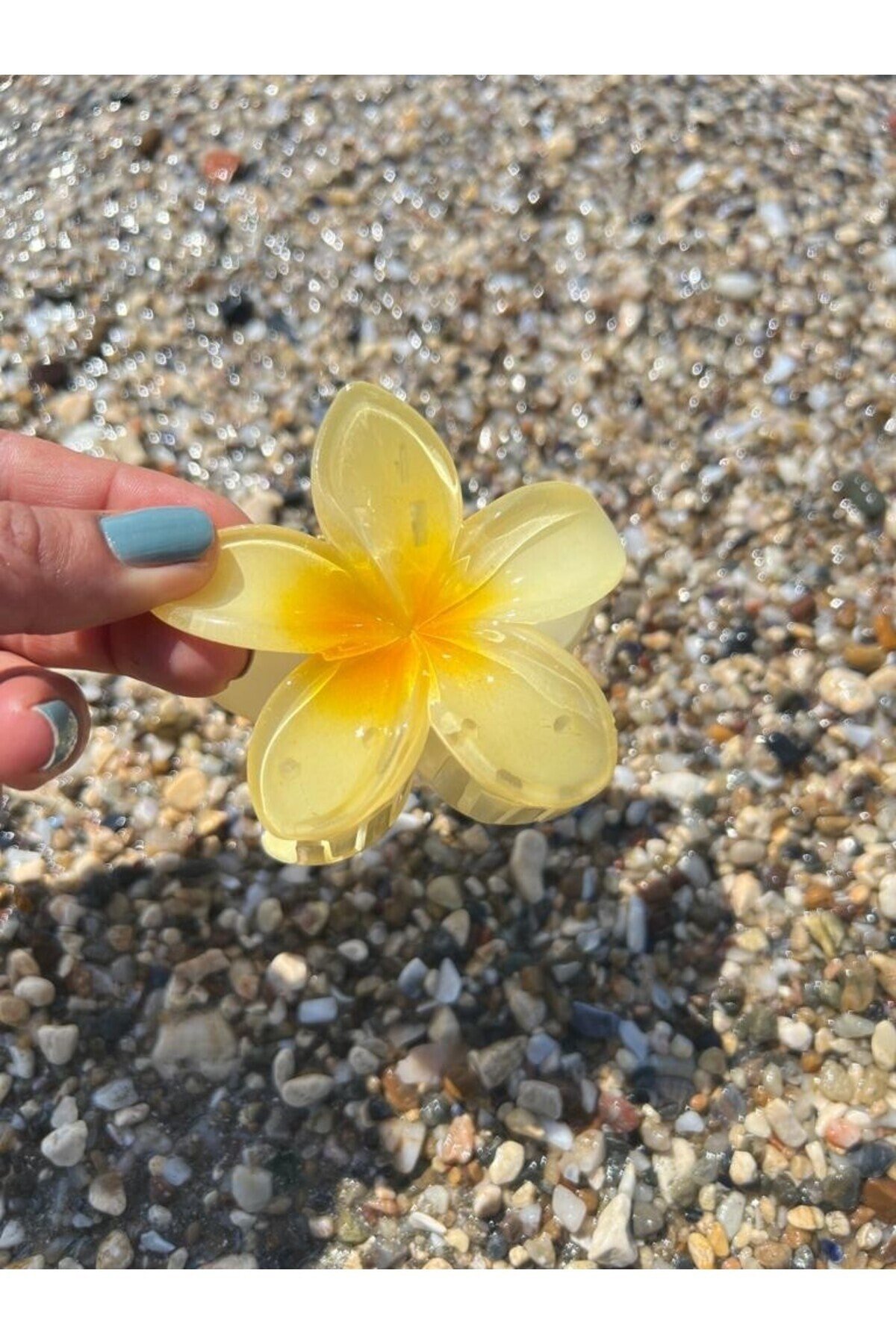 Sarı hibiscus Lotus Toka