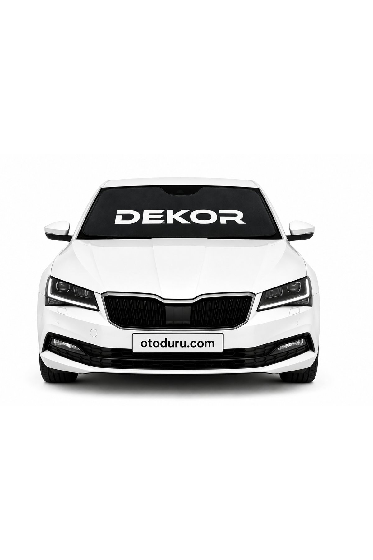 OEM 
