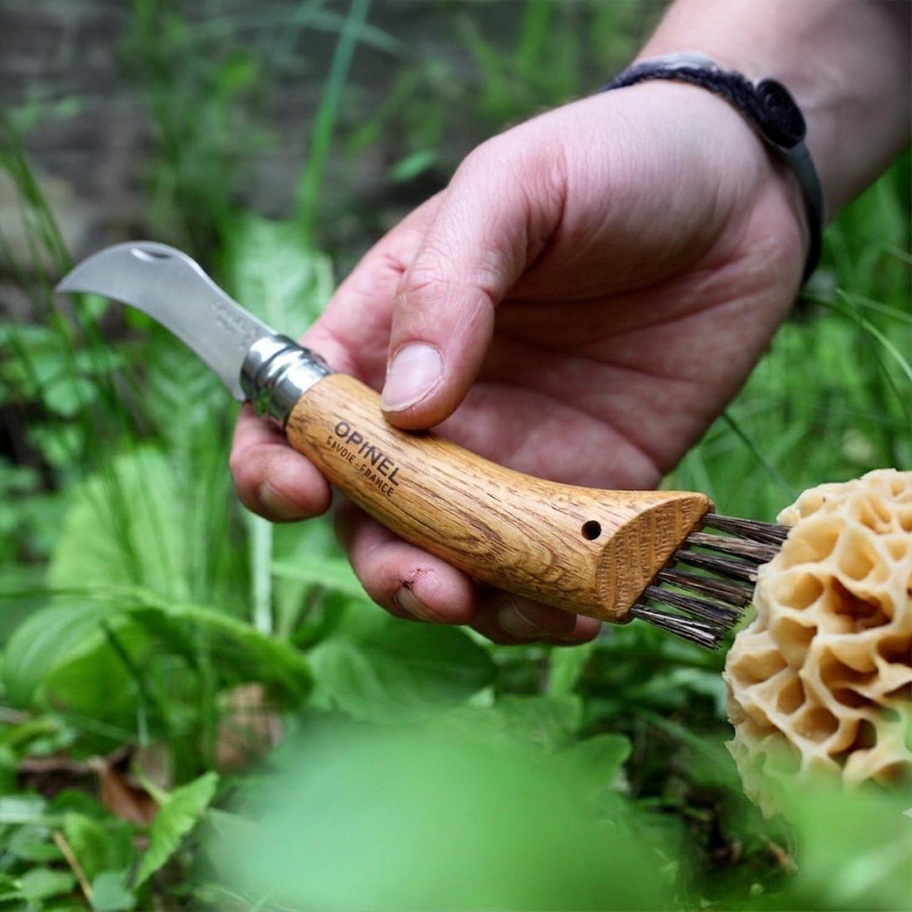 Opinel N°8 Deri Kılıflı Mantar Çakısı (Özel Kutulu)