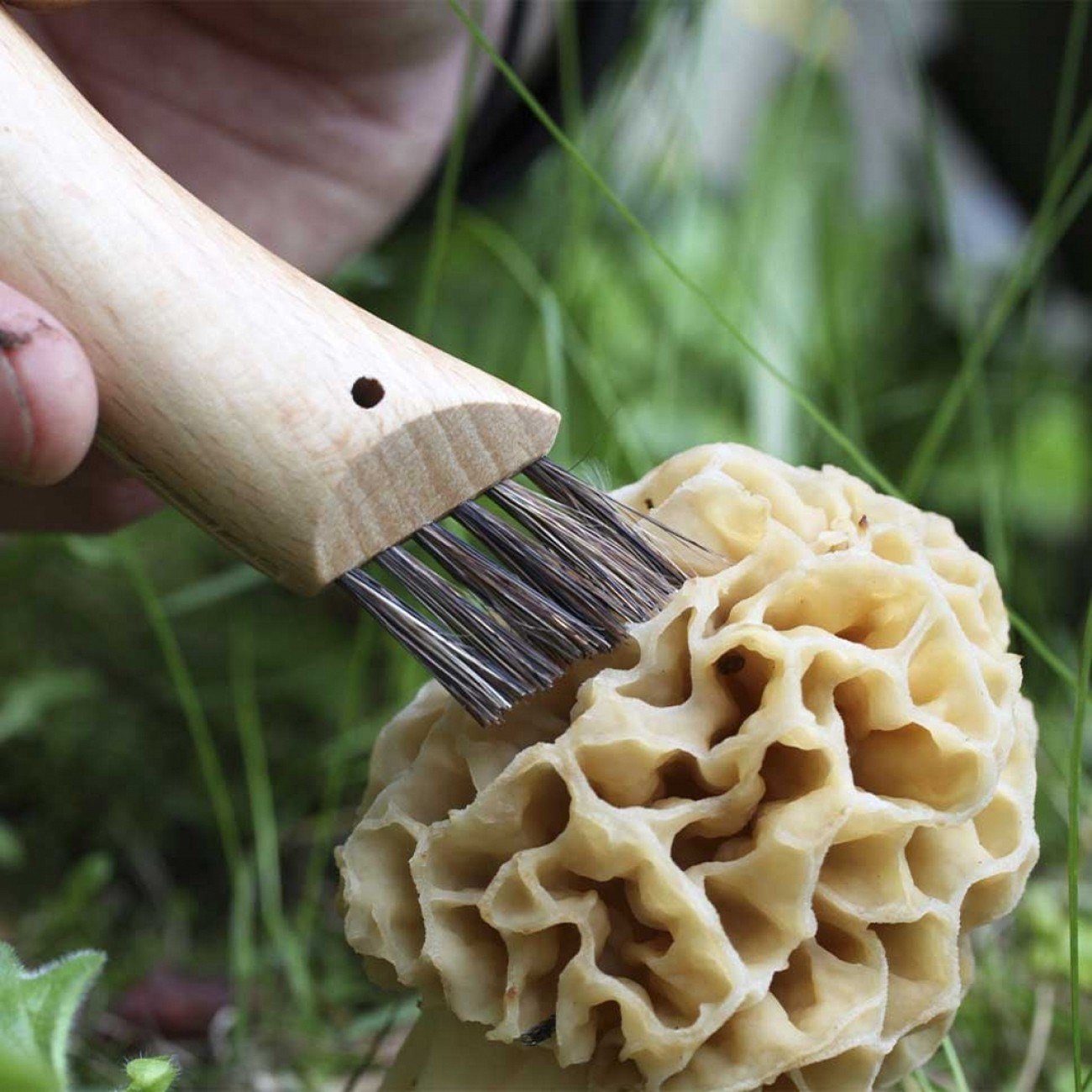Opinel N°8 Mantar Çakısı