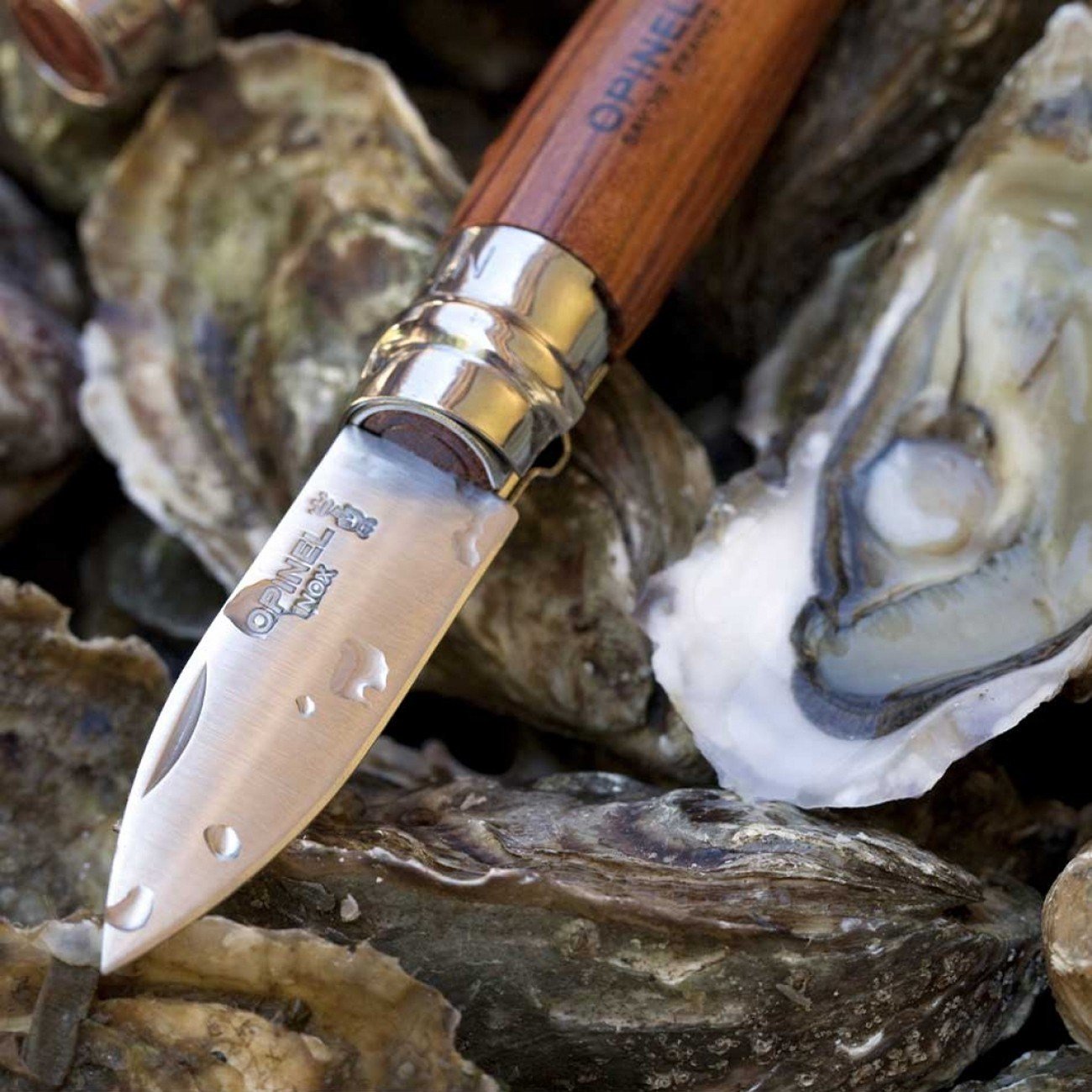 Opinel N°9 Paduk Saplı İstiridye ve Midye Çakısı